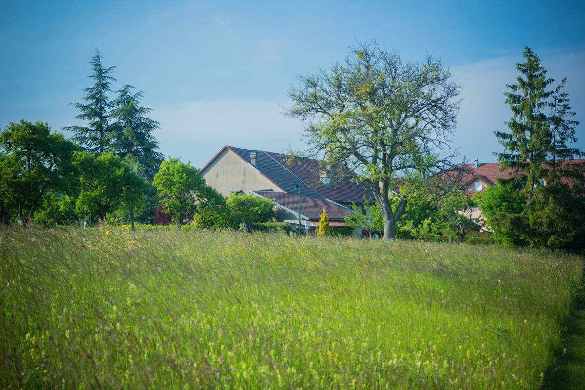 Prairie à Feigères